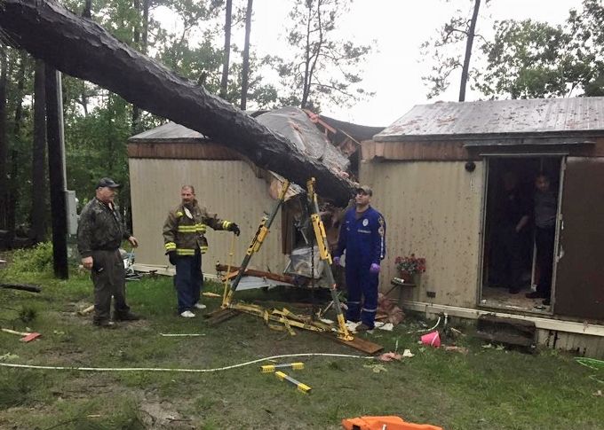 Firefighters rescue person trapped under a fallen tree | Local News ...