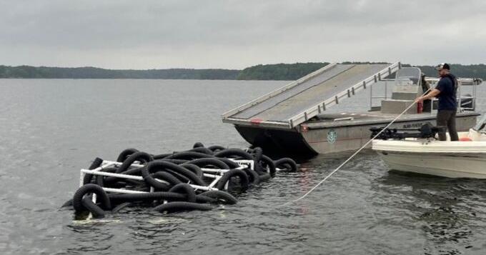 New artificial fish habitats are now in Toledo Bend Reservoir - Vimarsana News