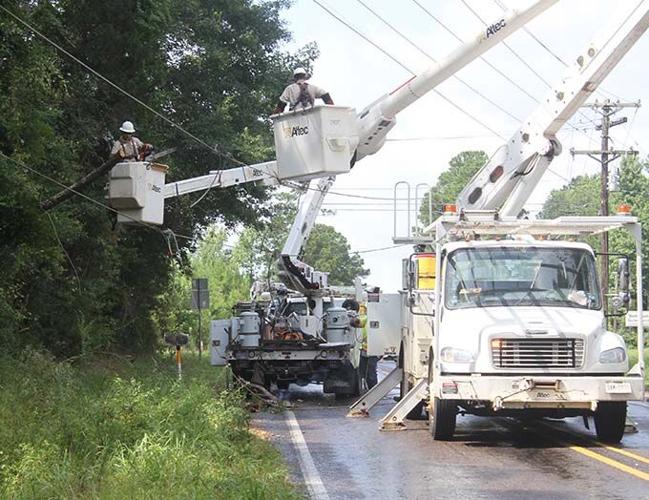 Tree falls on power line interrupting power to west part of Jasper ...