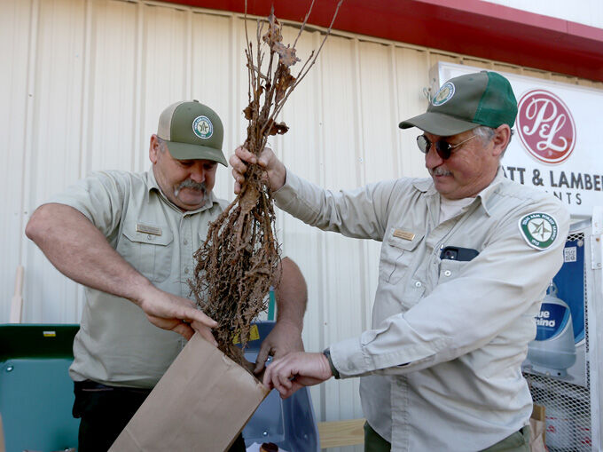 Parker lumber deals jasper texas