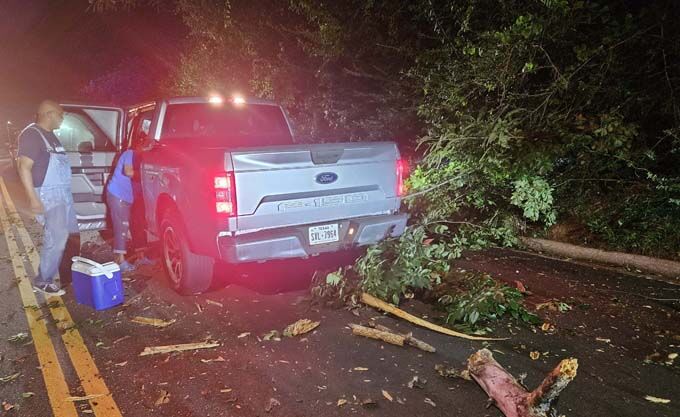 Beaumont man has close call when dead tree falls on vehicle here in ...