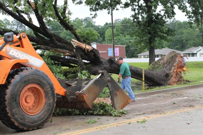 City of Jasper work crews busy dealing with downed trees and limbs ...