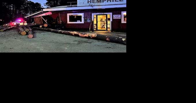 Log truck driver injured in rollover accident as logs crash into Hemphill BBQ - Vimarsana News