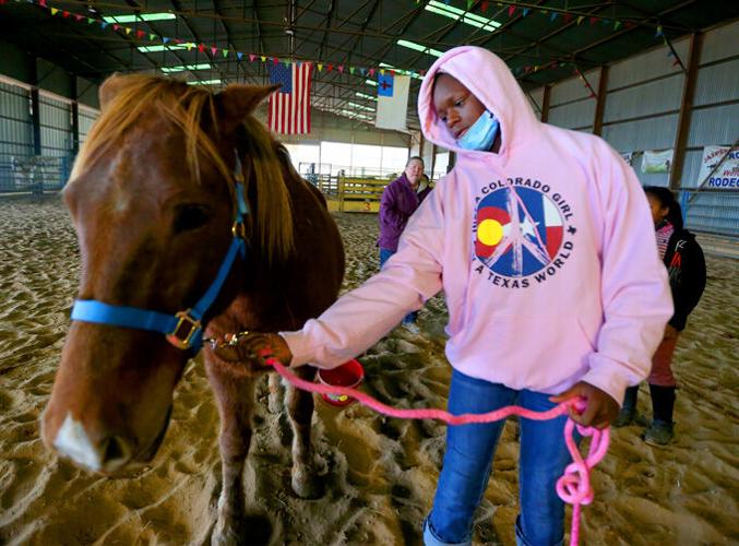 A horse can be great therapy | Local News 