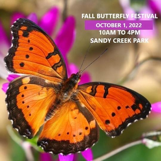 45th Annual Fall Butterfly Festival is Sat, Oct 1st at Sandy Creek Park