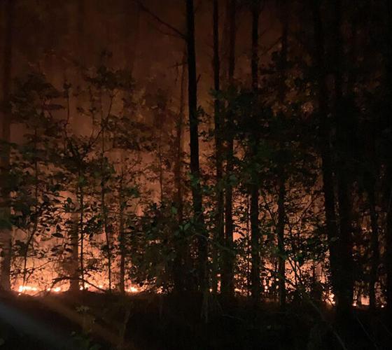 Early morning woods fire is thought to be arson | Local News | kjas.com