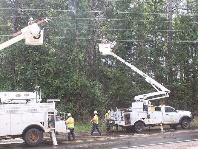Tree falls on power line interrupting power to west part of Jasper ...