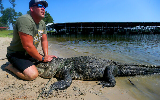 Beaumonts Gary Saurage Helps Local Residents With Alligator Problem Local News 8002