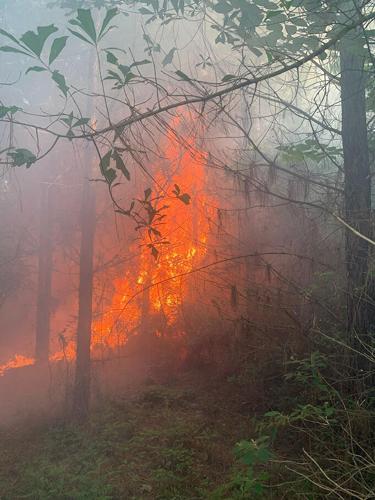 Early morning woods fire is thought to be arson | Local News | kjas.com