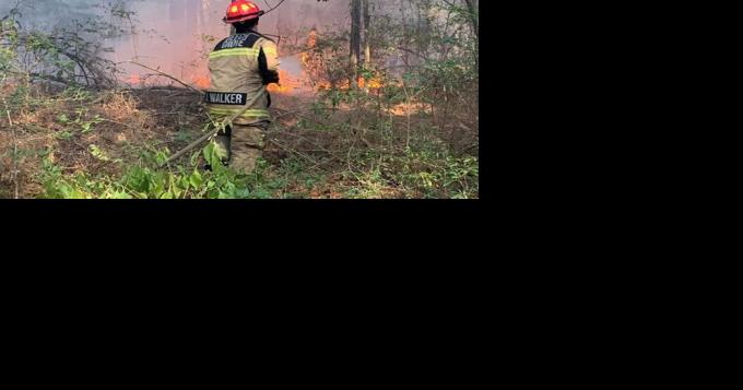 Wildfire burned close to home of former NFL star Eugene Seale - Vimarsana News