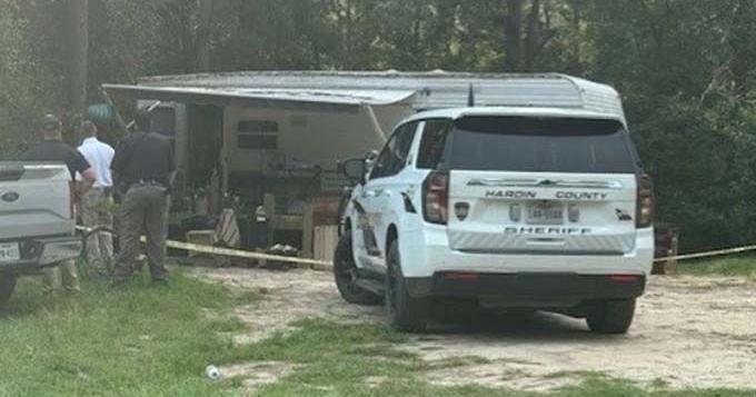 Assault News Image