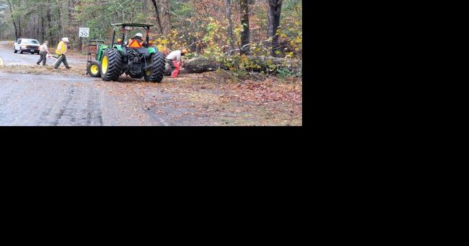 Large tree fell during heavy rains in Martin Dies, Jr. State Park, flooding a concern - Vimarsana News