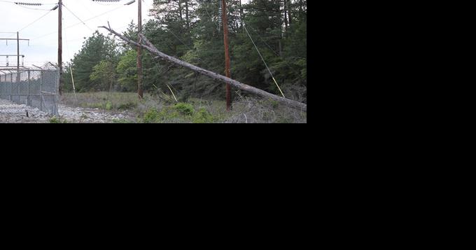 WHY IS THE POWER OUT? A TREE FELL ACROSS A POWER LINE ON HI-TRUITT ROAD - Vimarsana News