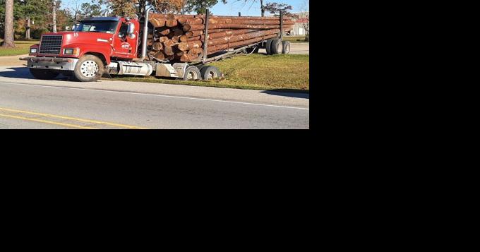 Loaded log truck rolled into a muddy ditch - Vimarsana News