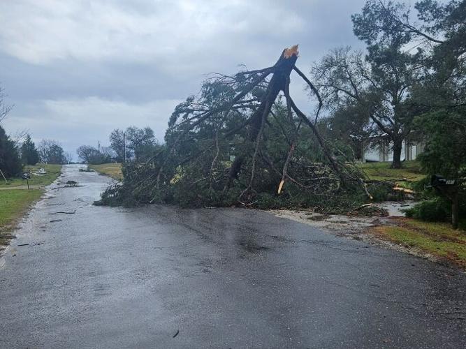 Severe thunderstorm left structural damage, trees and power lines down ...