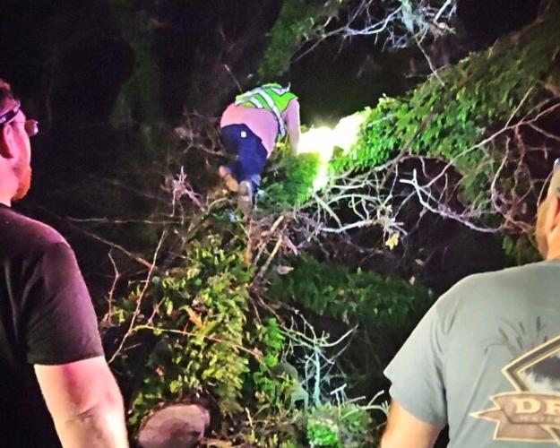Burkeville firefighters and citizens remove large tree from a highway