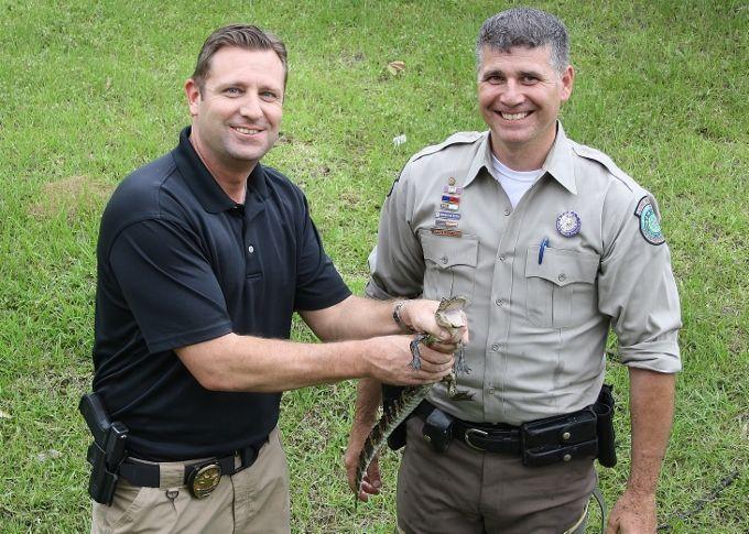 Little Alligator Puts Up A Big Fight Local News Kjas Com Texas game wardens 1760 x 990 (i.imgur.com). little alligator puts up a big fight