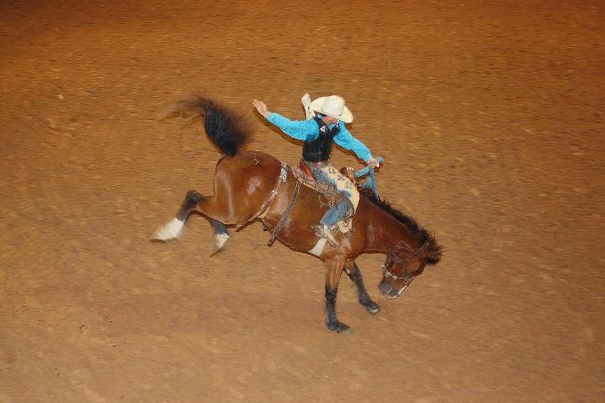 Jasper Pro Rodeo wraps up first night, final night is Saturday | Local ...