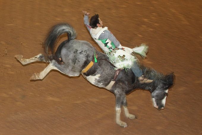 Jasper Pro Rodeo wraps up first night, final night is Saturday | Local ...