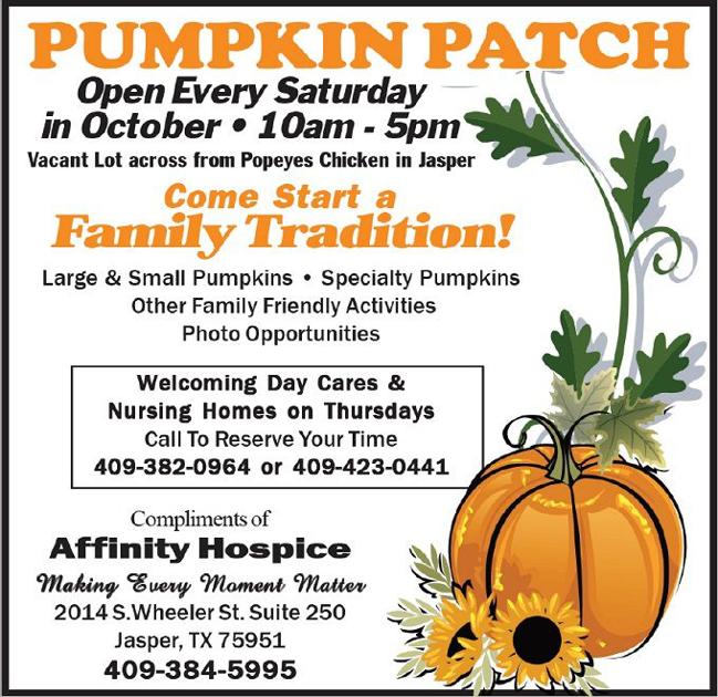 Affinity Hospice Hosts Pumpkin Patch Local News Kjas Com