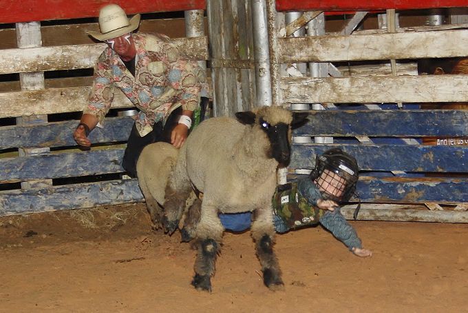 Jasper Pro Rodeo wraps up first night, final night is Saturday | Local ...