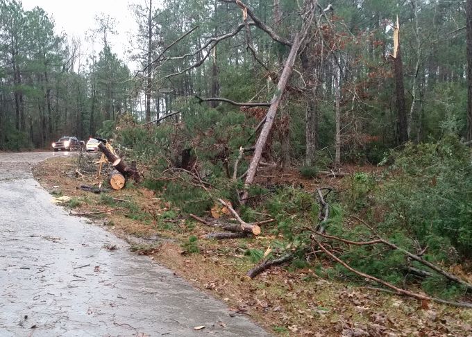 Monday morning storms knock down trees and power lines | Local News ...