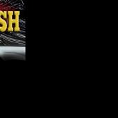 Lebanon woman seriously injured in rollover crash near Stover