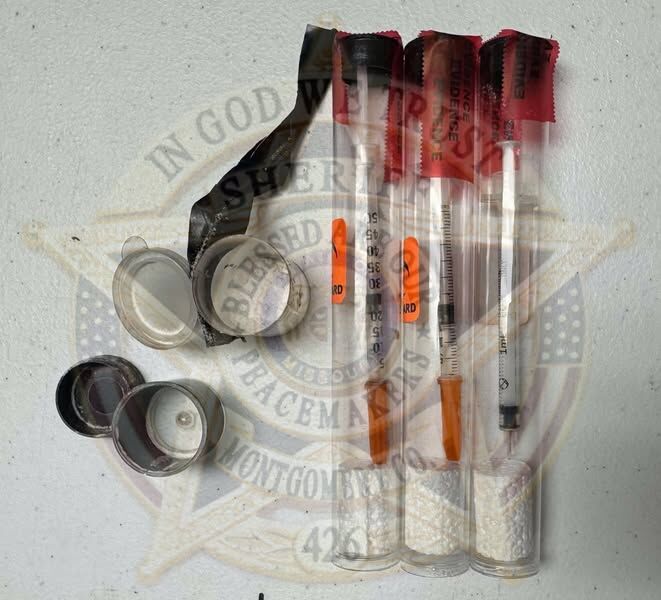 Montgomery County woman arrested for leading deputies on pursuit in ...