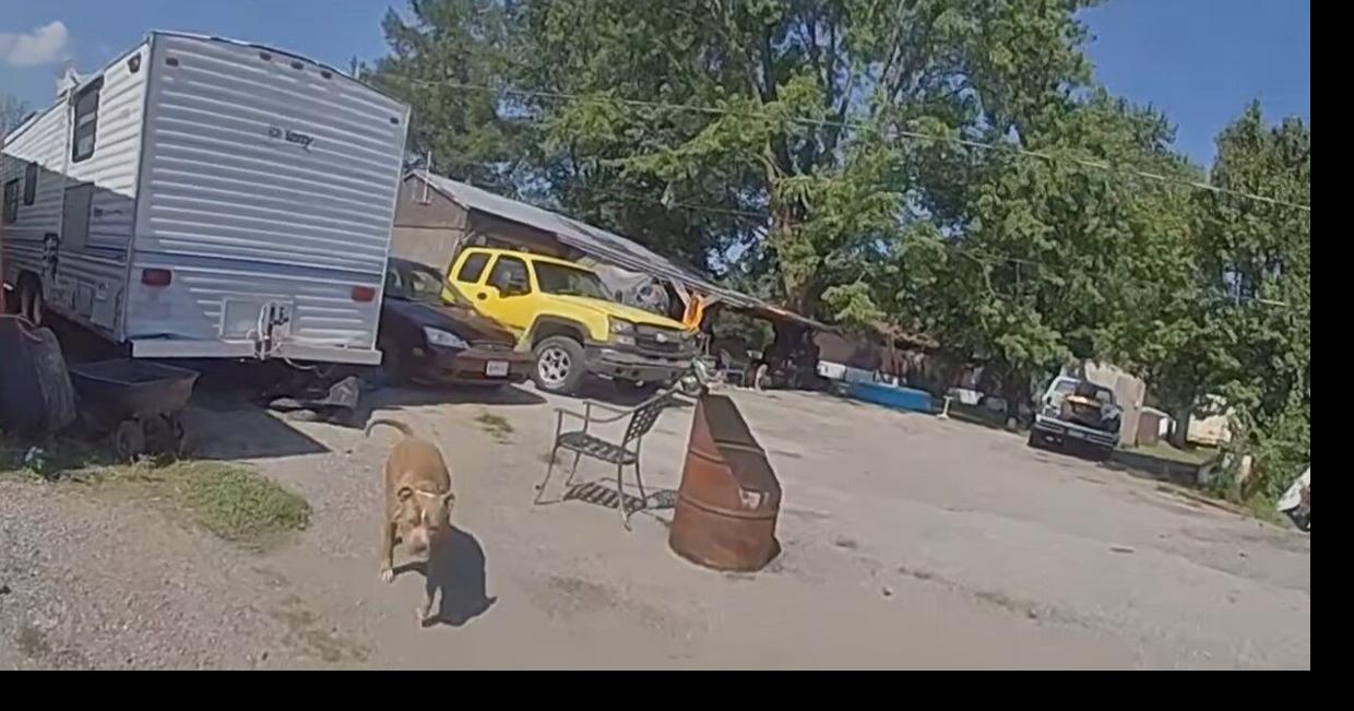 Callaway County deputy fatally shoots dog near Auxvasse, video of incident released