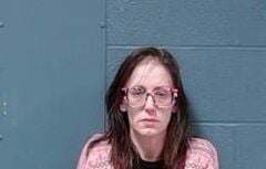 New Bloomfield woman faces drug, weapons charges, after search of her ...