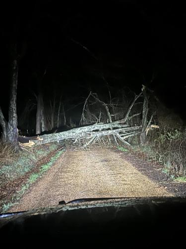 Storms bring hail, high winds, knocking down trees and knocking out ...
