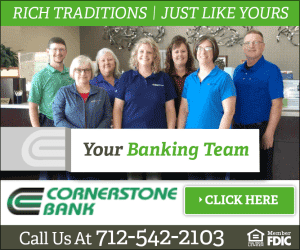 300x250 image ad advertisement