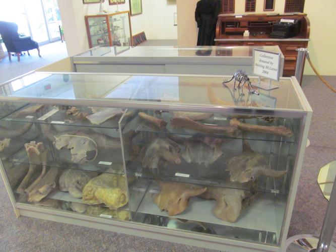 Fossils on display at Greater Shenandoah Historical Museum