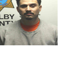 Suspect pleads guilty to 2nd degree murder in Shelby County case | News ...