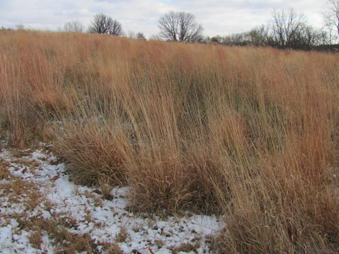 Blackburn's Green Hollow Center near Thurman, Iowa Gallery