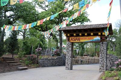 Asian Highlands Completion Tops Busy 2019 List At Henry Doorly Zoo