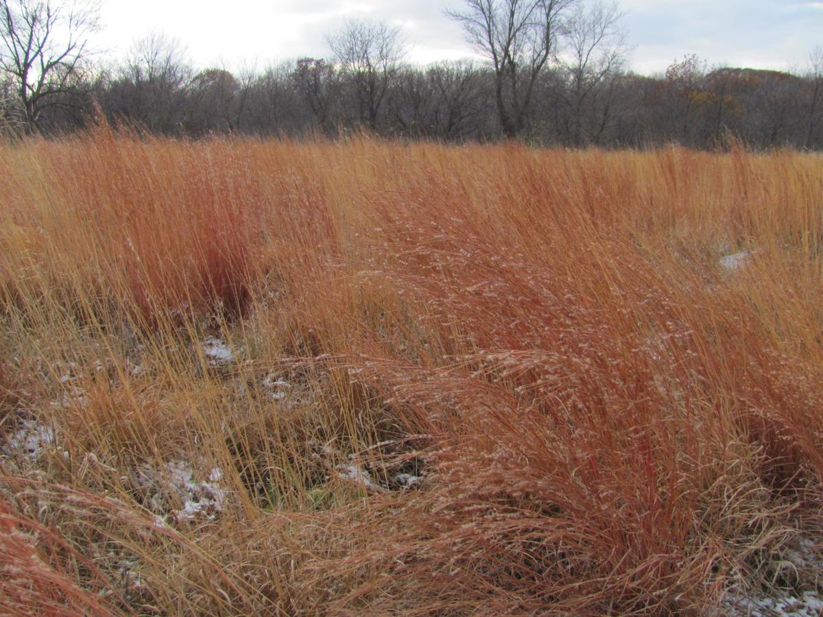Blackburn's Green Hollow Center near Thurman, Iowa Gallery