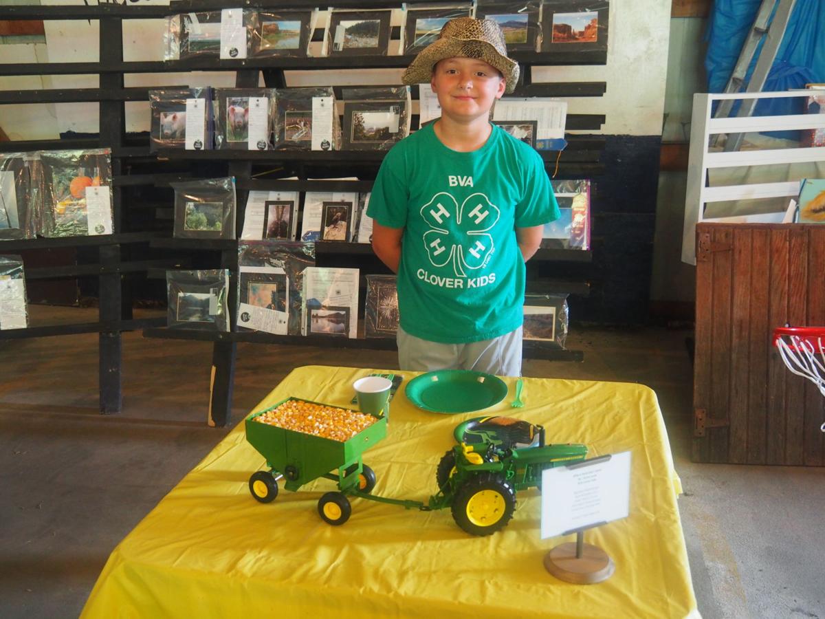 2016 East Pottawattamie County FairAvoca, Iowa Gallery