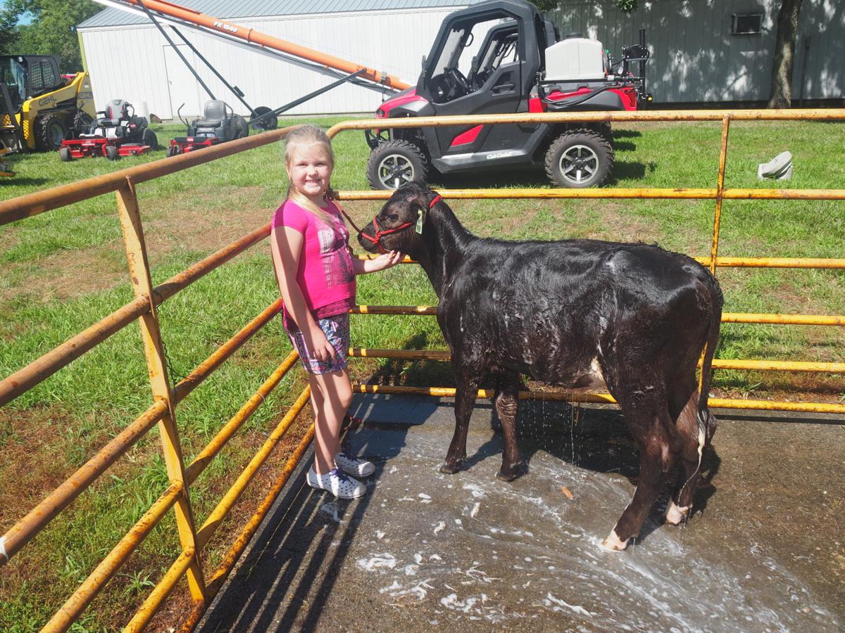 2019 Shelby County FairHarlan, Iowa Gallery