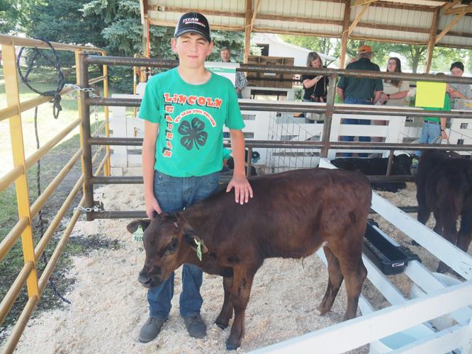 2019 Shelby County FairHarlan, Iowa Gallery