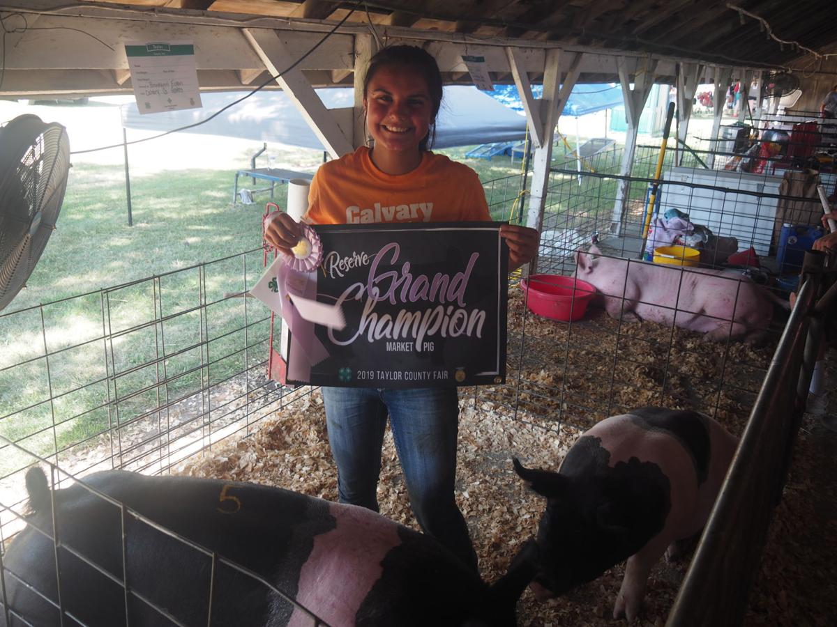 Taylor County Fair 2019Bedford, Iowa Gallery