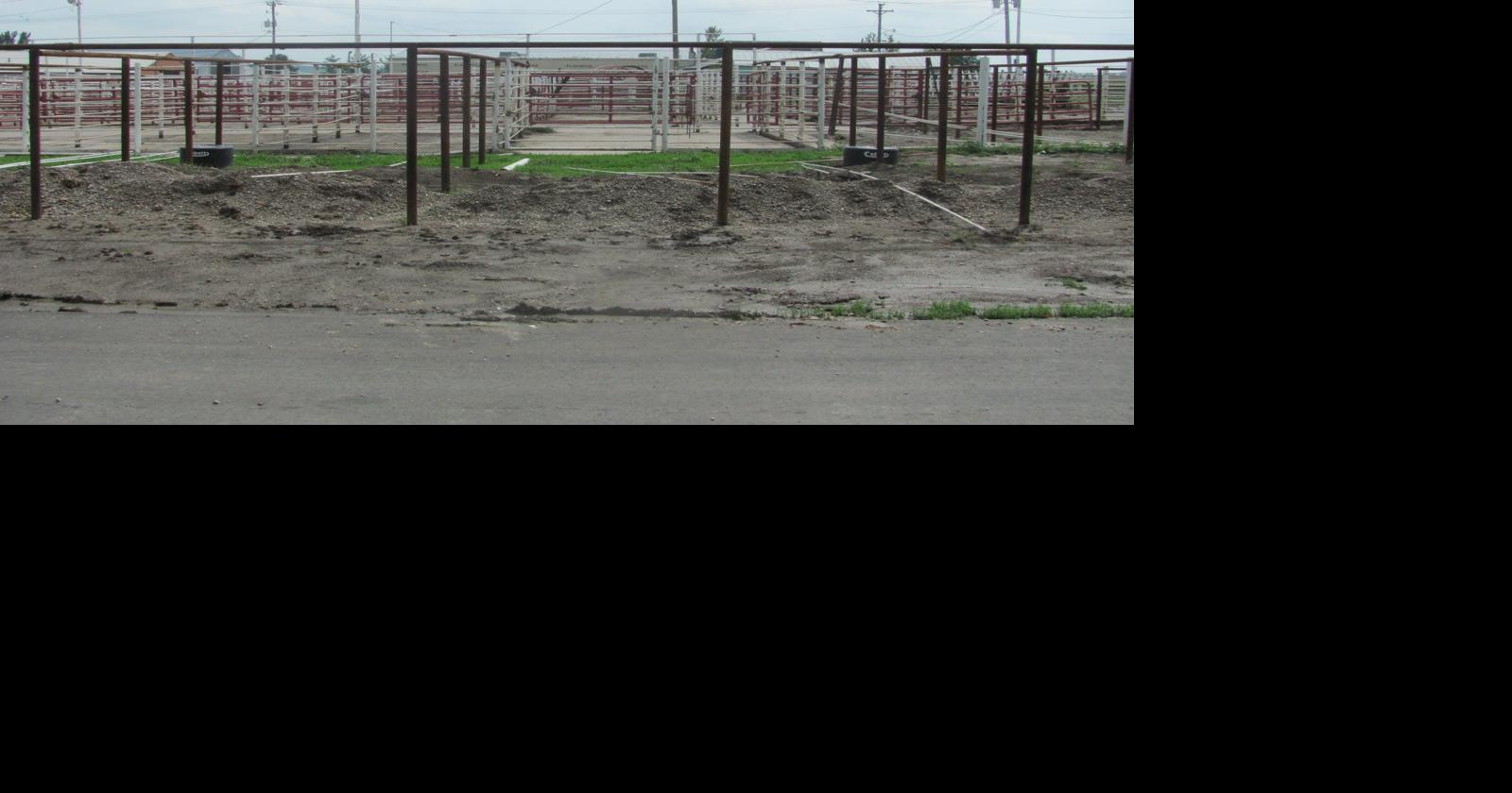 John Anderson & Frank Hoepker with Clarinda Livestock Auction Gallery