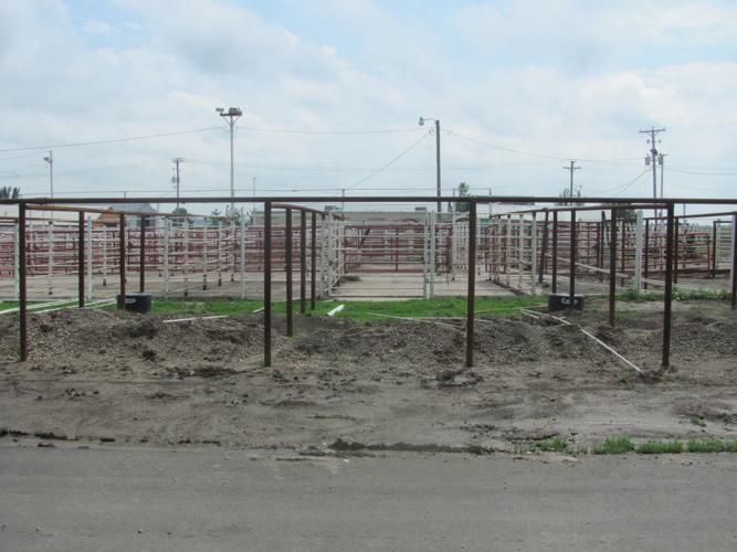 John Anderson & Frank Hoepker with Clarinda Livestock Auction Gallery