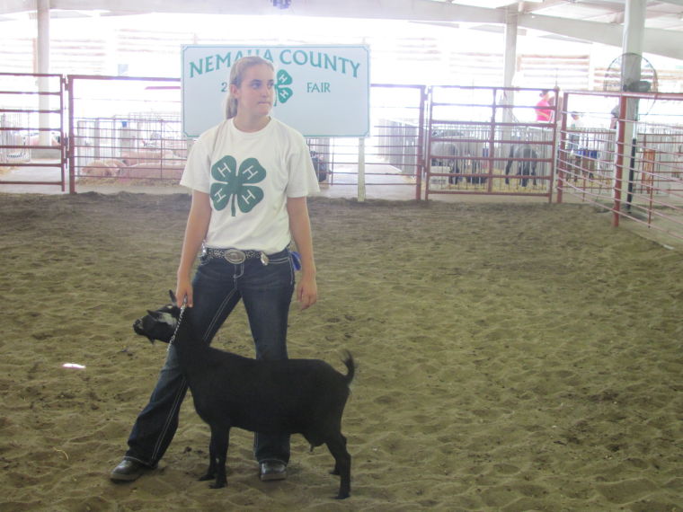 Nemaha County Fair-Auburn, Nebraska | Gallery | Kmaland.com