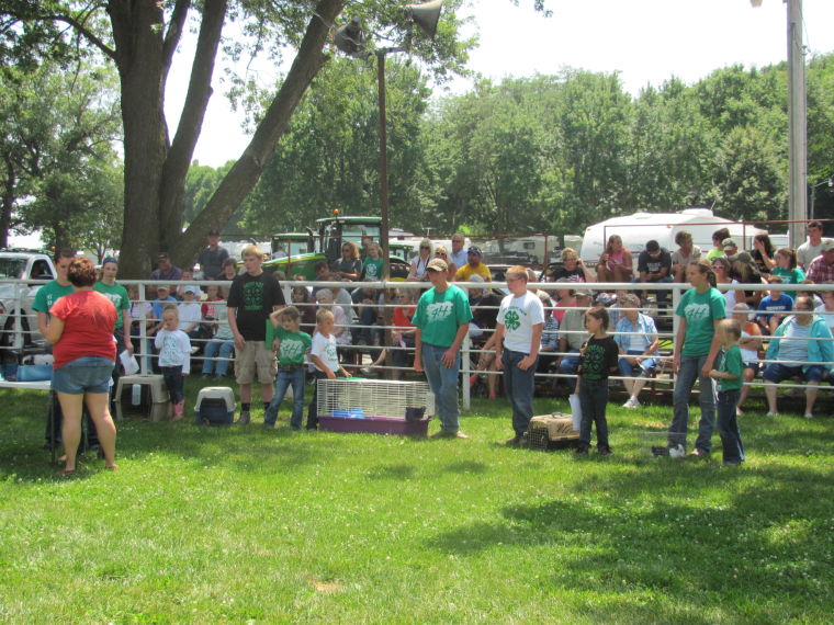 Cass County Fair in Atlantic, Iowa Gallery