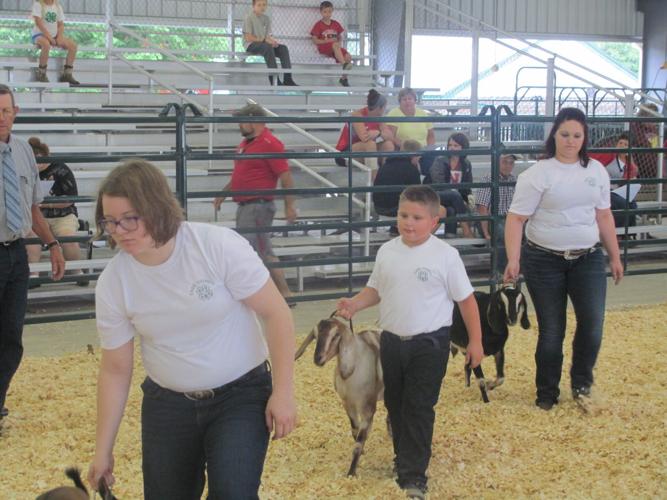 2015 Cass County FairWeeping Water, Nebraska Gallery