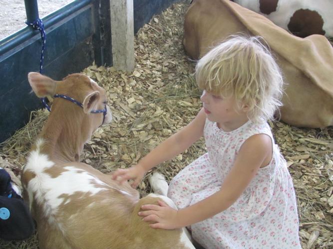 2015 Cass County FairWeeping Water, Nebraska Gallery
