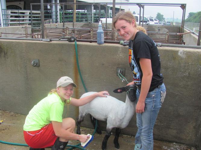 2015 Cass County FairWeeping Water, Nebraska Gallery