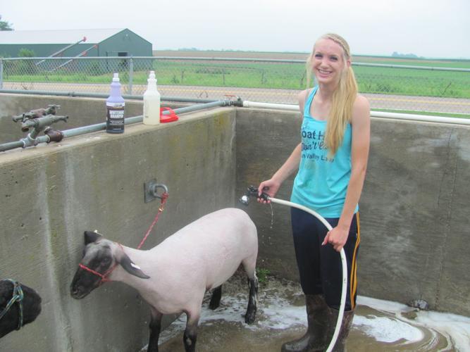 2015 Cass County FairWeeping Water, Nebraska Gallery