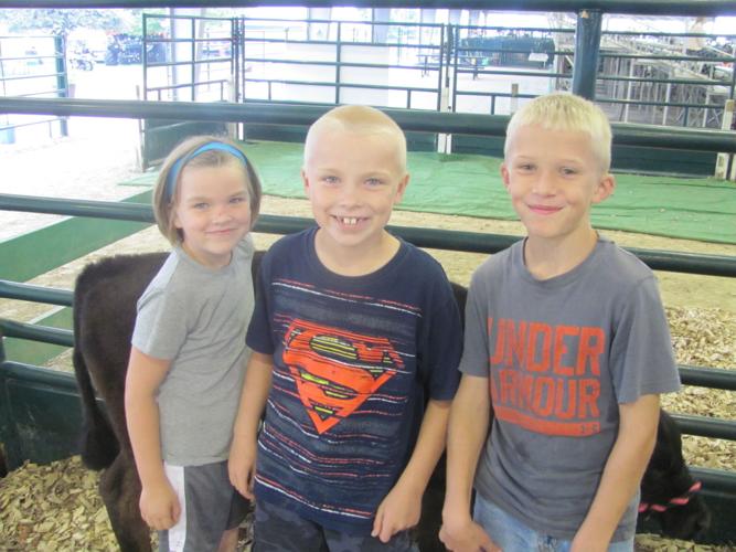 Cass County Fair Nebraska 2025